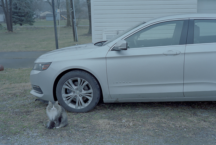 The final, uncorrected color negative scan. Cat sitting in front of a car.