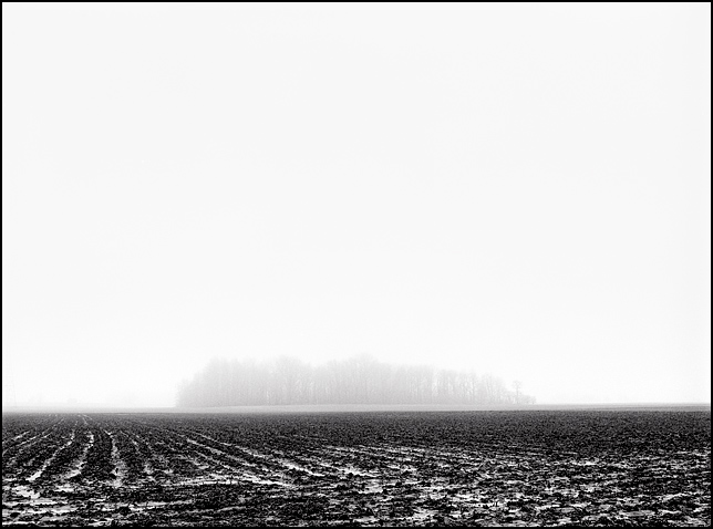 A stand of trees is visible through the mist across a plowed cornfield in this landscape scene on a rainy and foggy February day along Branstrator Road in southwest Allen County, Indiana