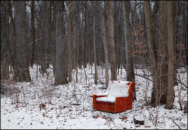 An orange recliner chair sits in the woods surrounded by trees and fallen leaves.